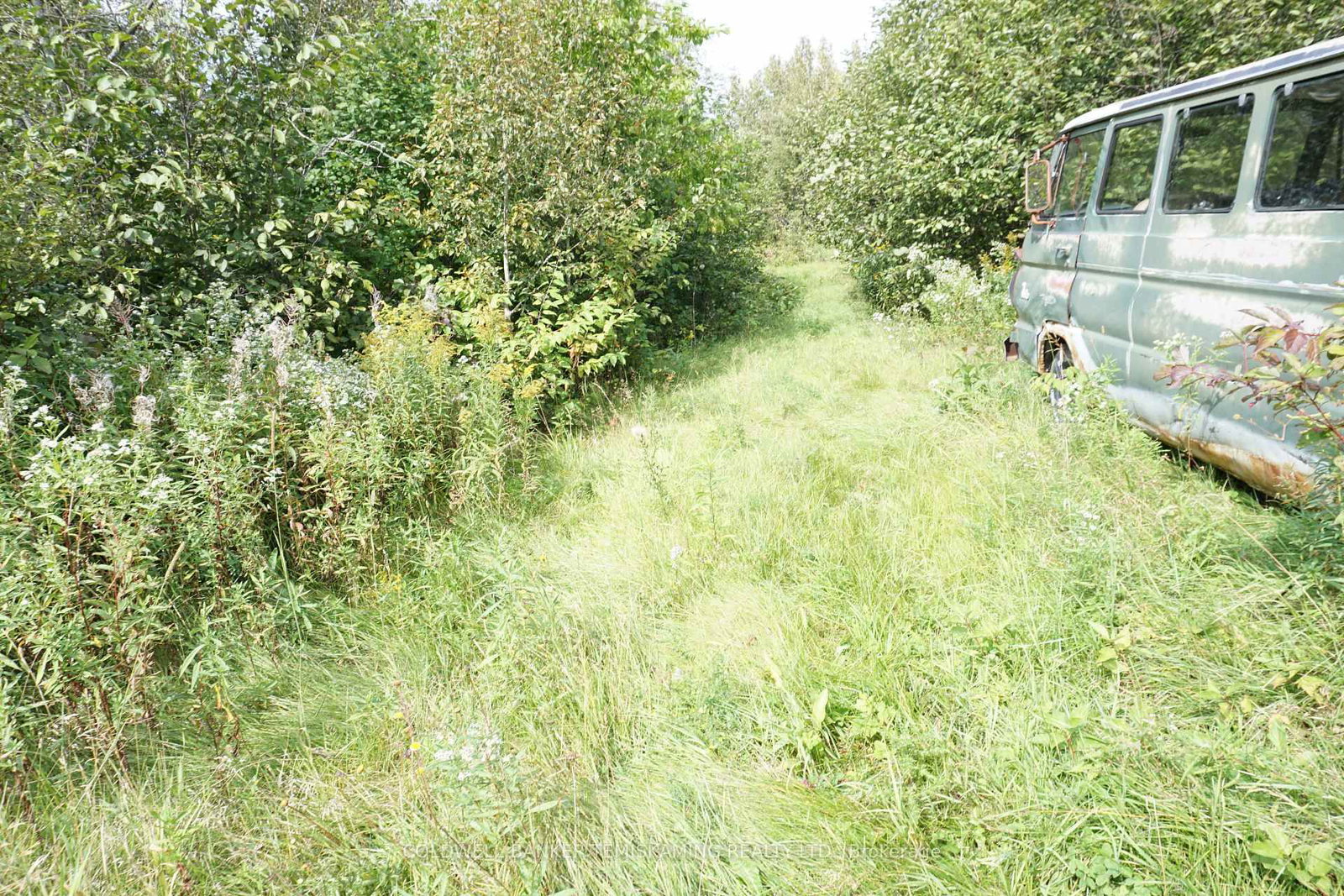 Listing Image 34