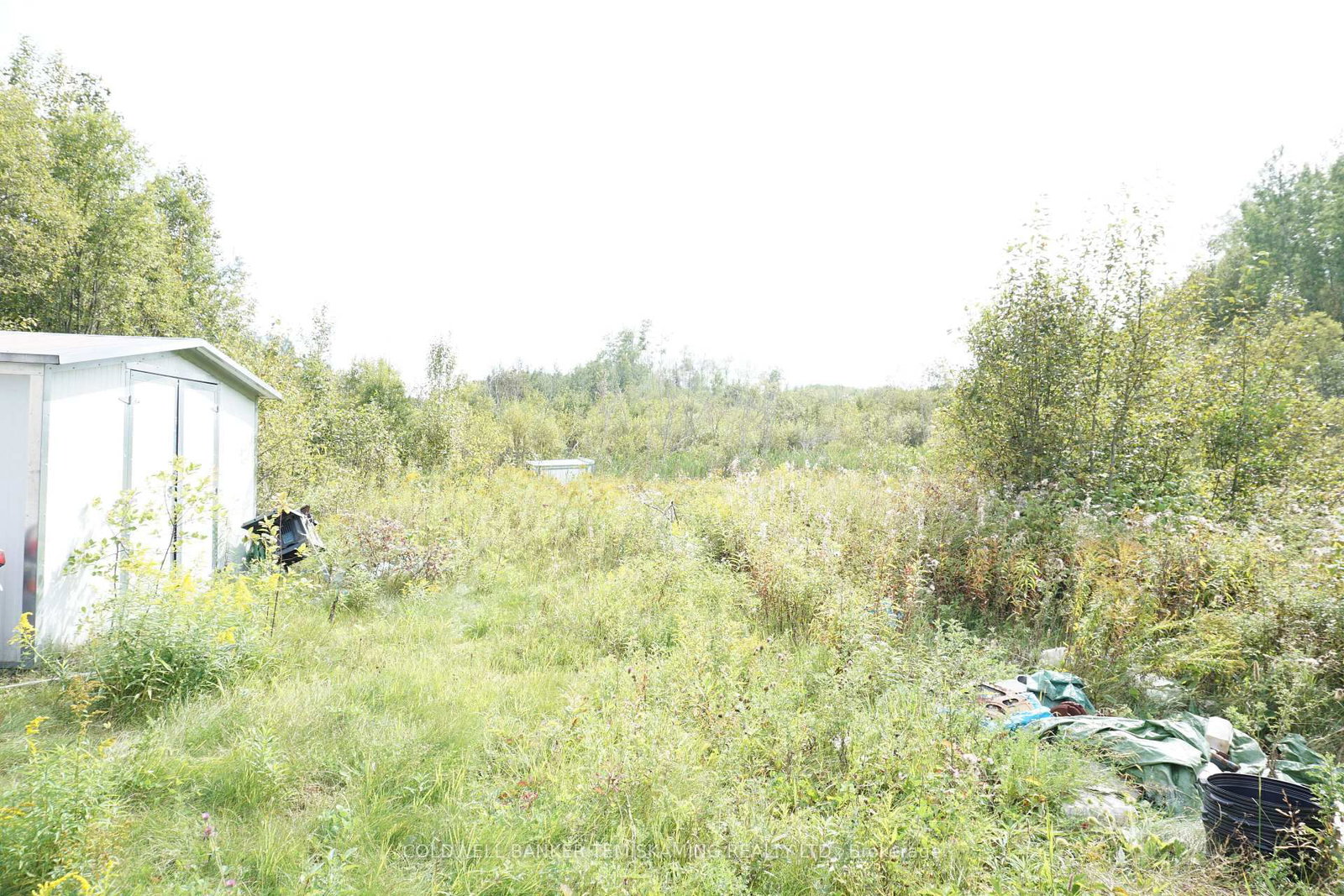Lot 1 CAMPBELL'S Road • Timiskaming, ON photo 23