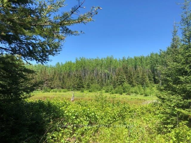 38.24 Acres in  Township PCL 24640