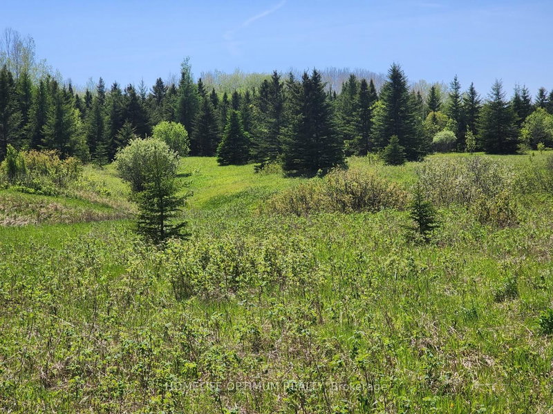LOT 10 CON 5 N/A, Black River-Matheson