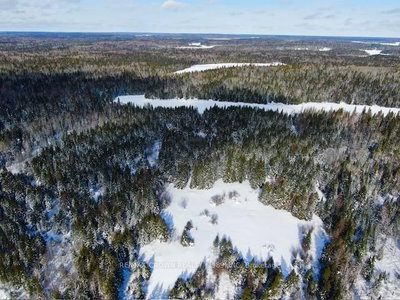 LT 7 CON 7 HANLAN Township | Hearst | Image