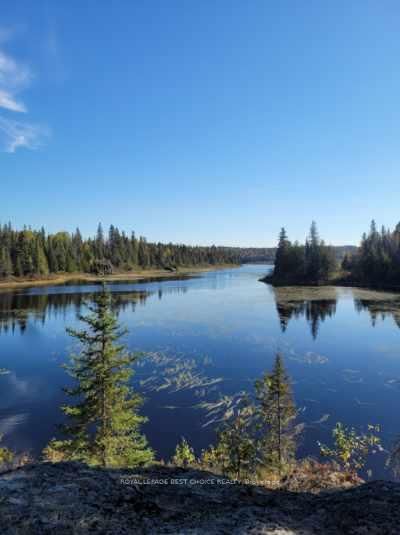 Lot 3 Howard Lake Island — more photos