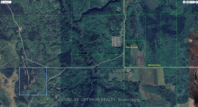 Oarcel 2538 NW1/4 of N1/2 Lt 7 Con 2 Playfair