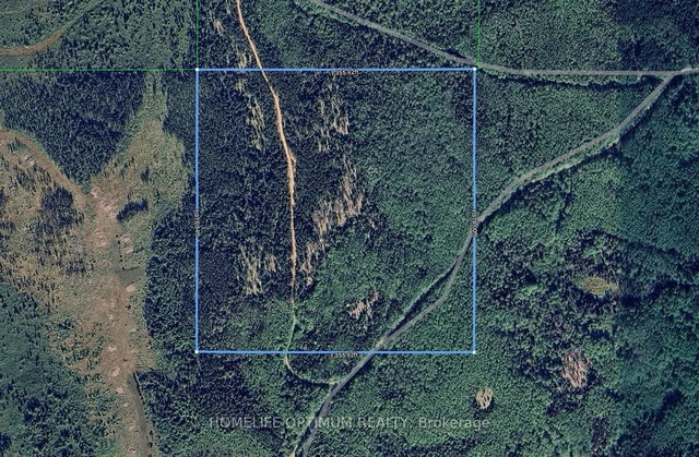 Oarcel 2538 NW1/4 of N1/2 Lt 7 Con 2 Playfair