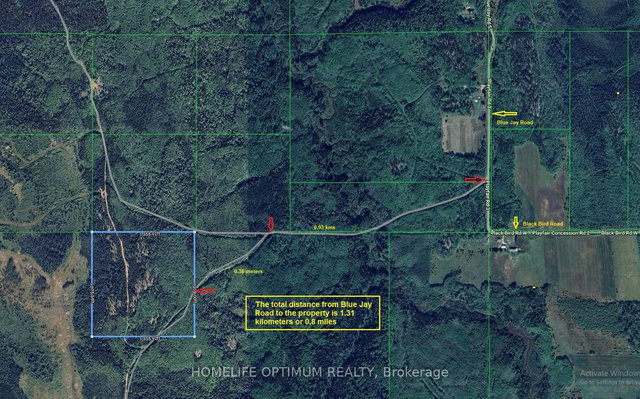 Oarcel 2538 NW1/4 of N1/2 Lt 7 Con 2 Playfair