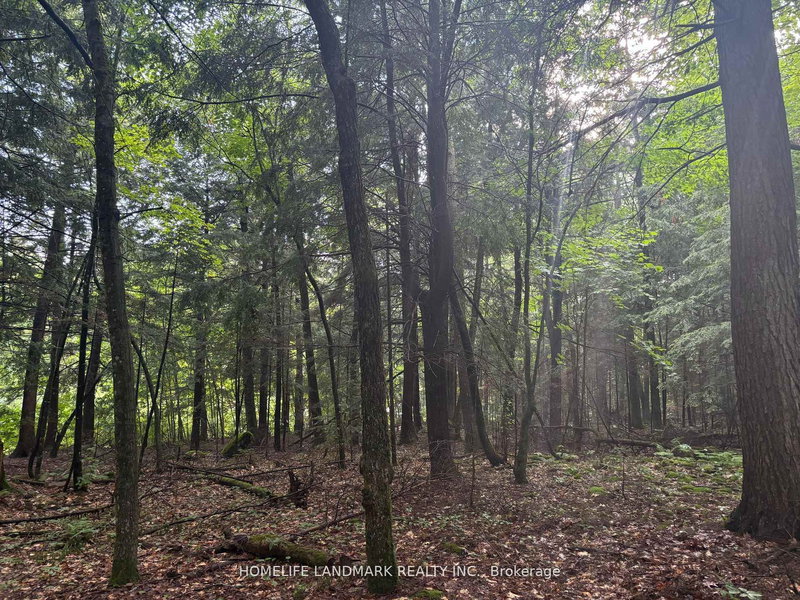 home for sale on 153 Acres Parcel 18476 null