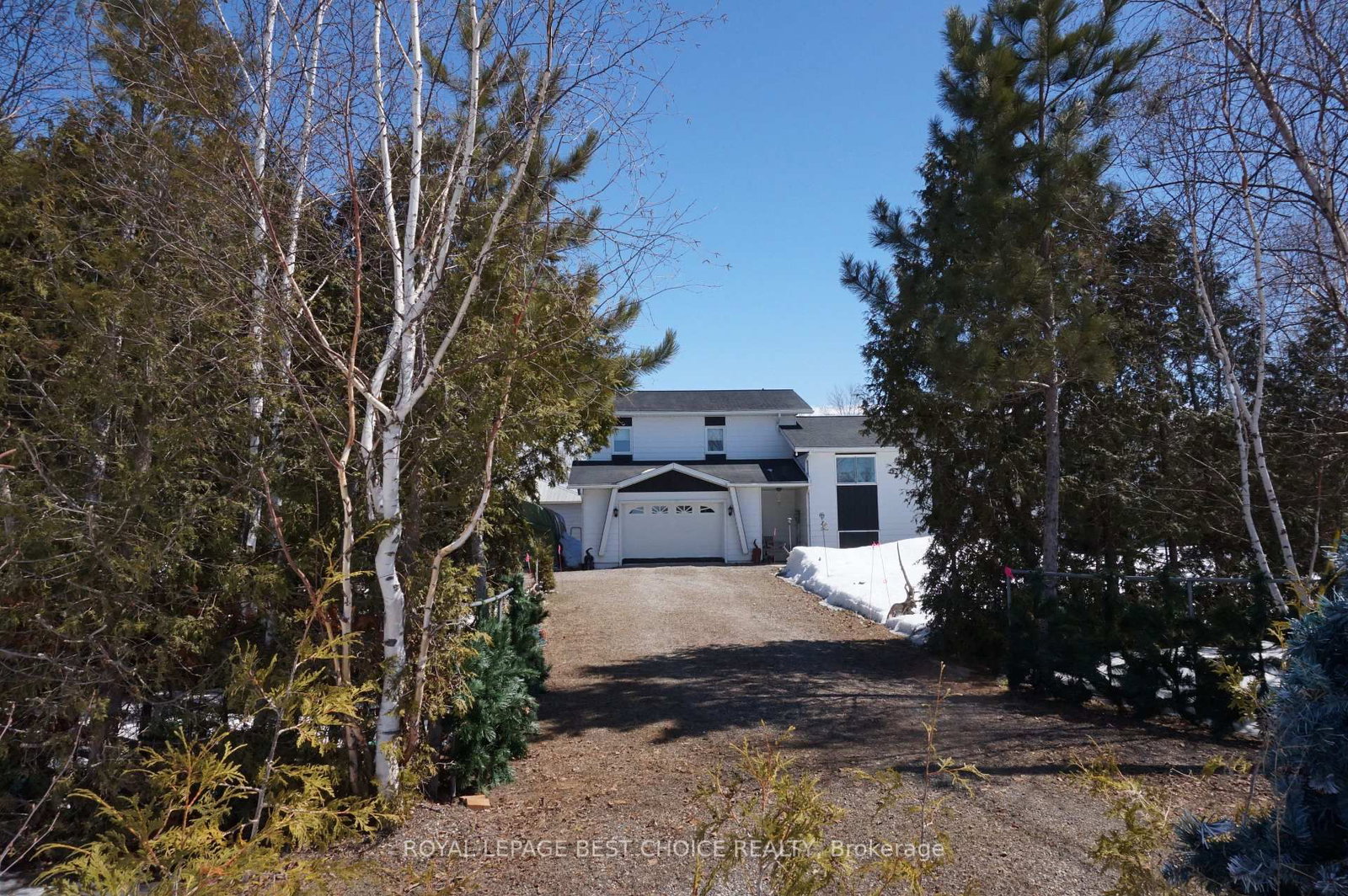Listing Image 2