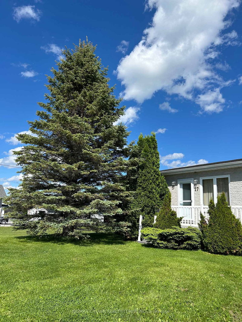 17 Tremblay, Fauquier Avenue S