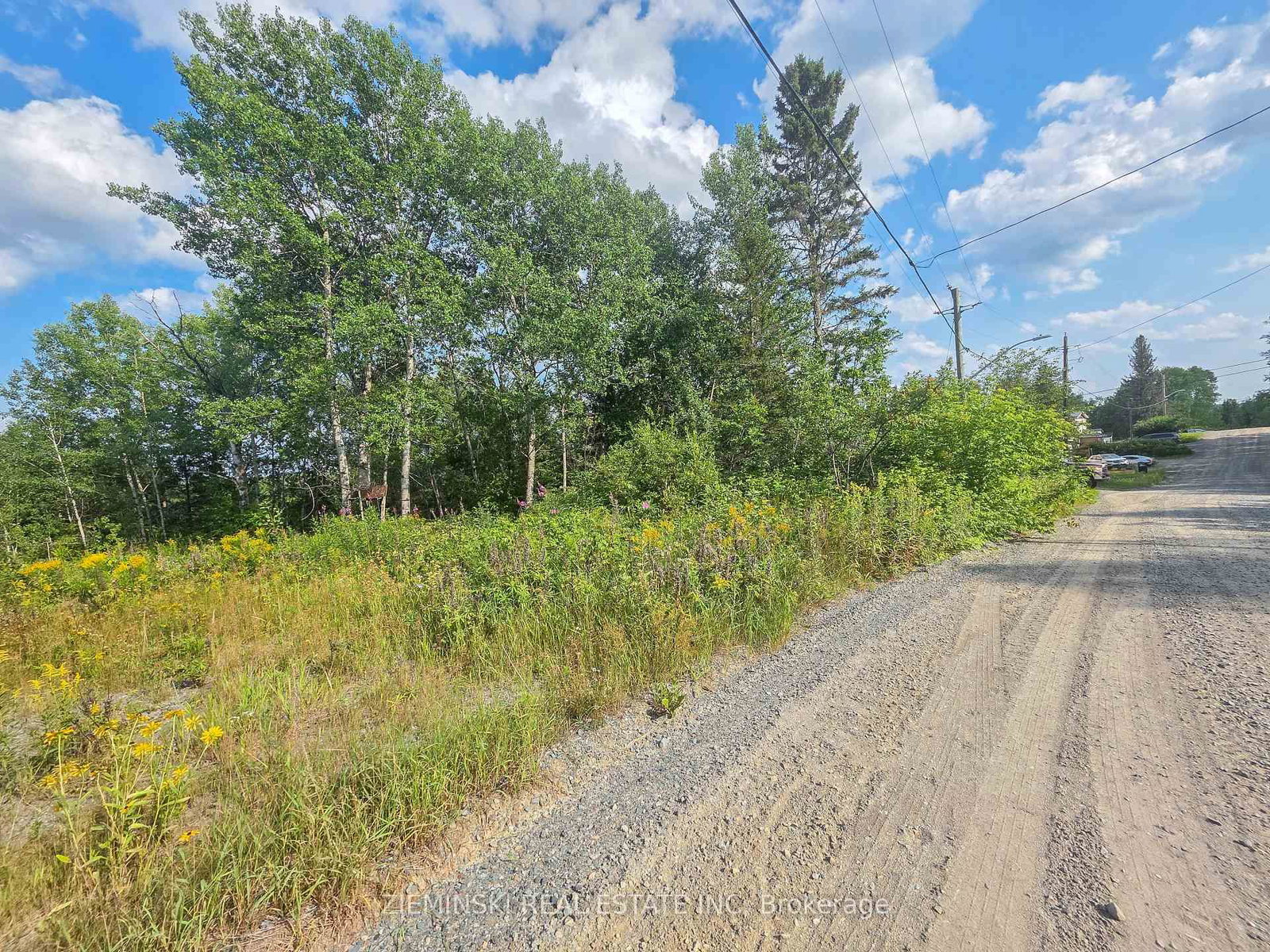 20 Swastika Avenue • Kirkland Lake, ON photo 5
