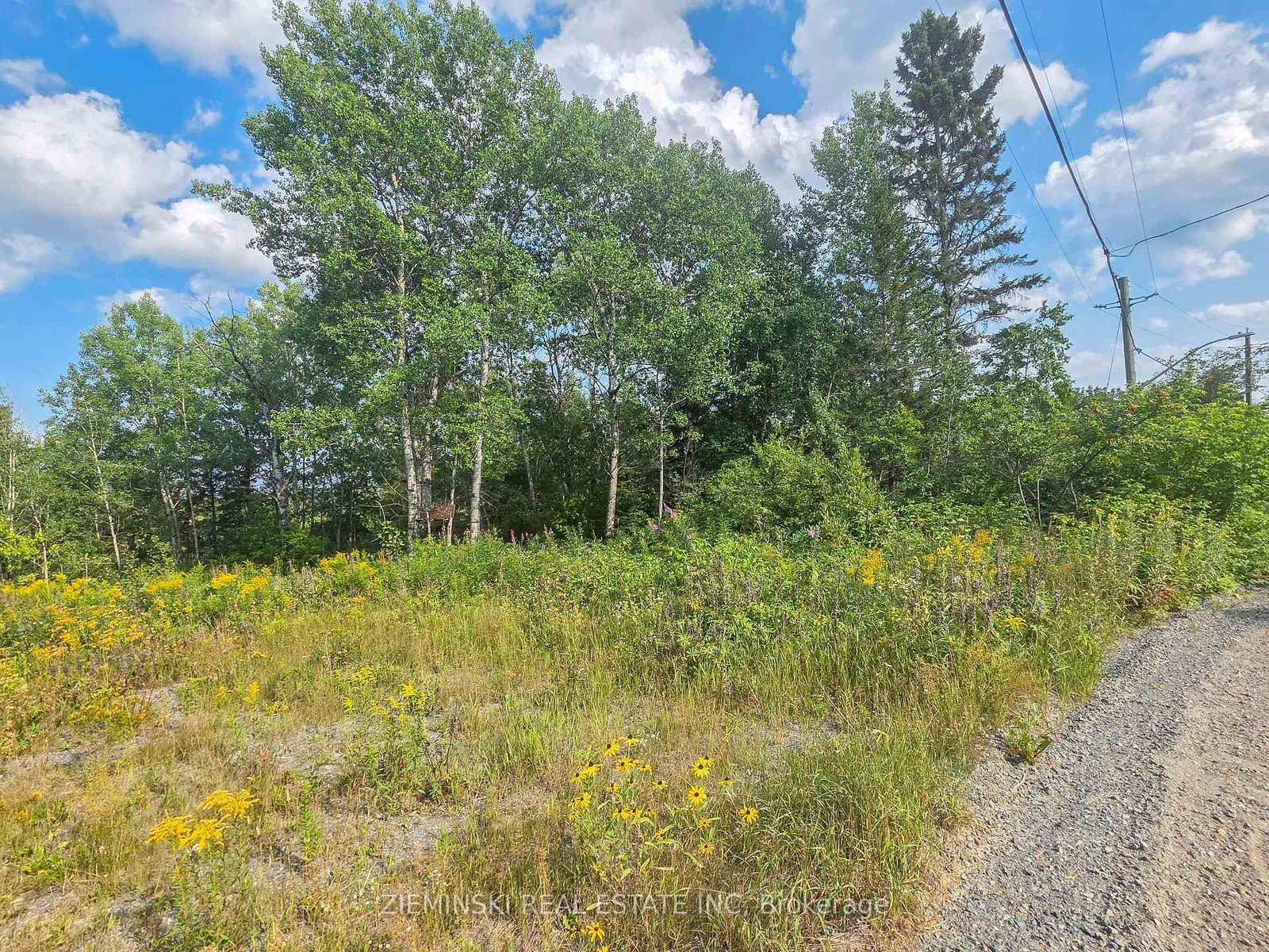 20 Swastika Avenue • Kirkland Lake, ON photo 6