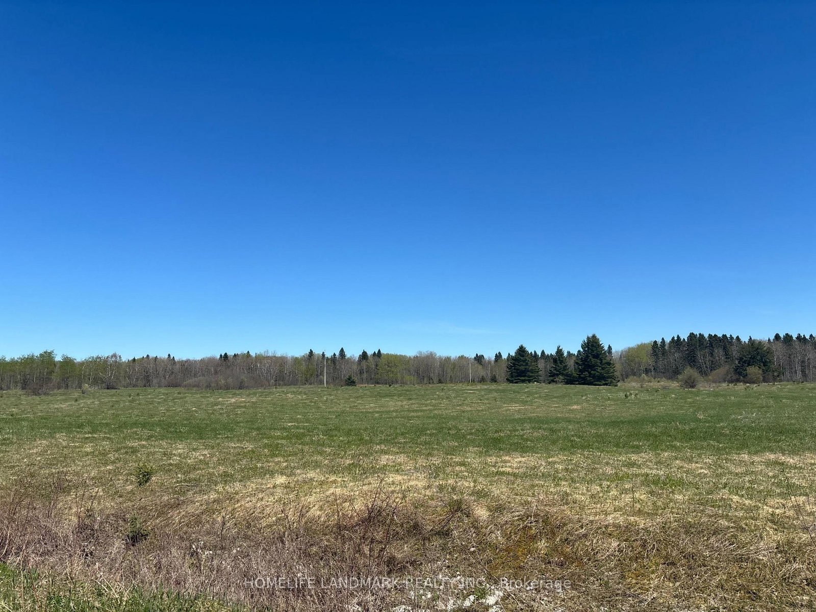 9 Ski Hill Road • Kapuskasing, ON photo 12