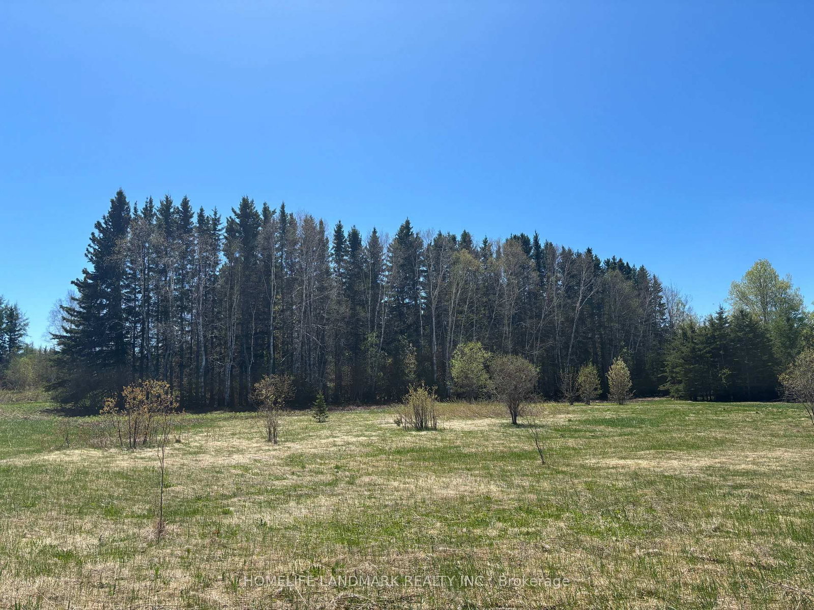 9 Ski Hill Road • Kapuskasing, ON photo 14