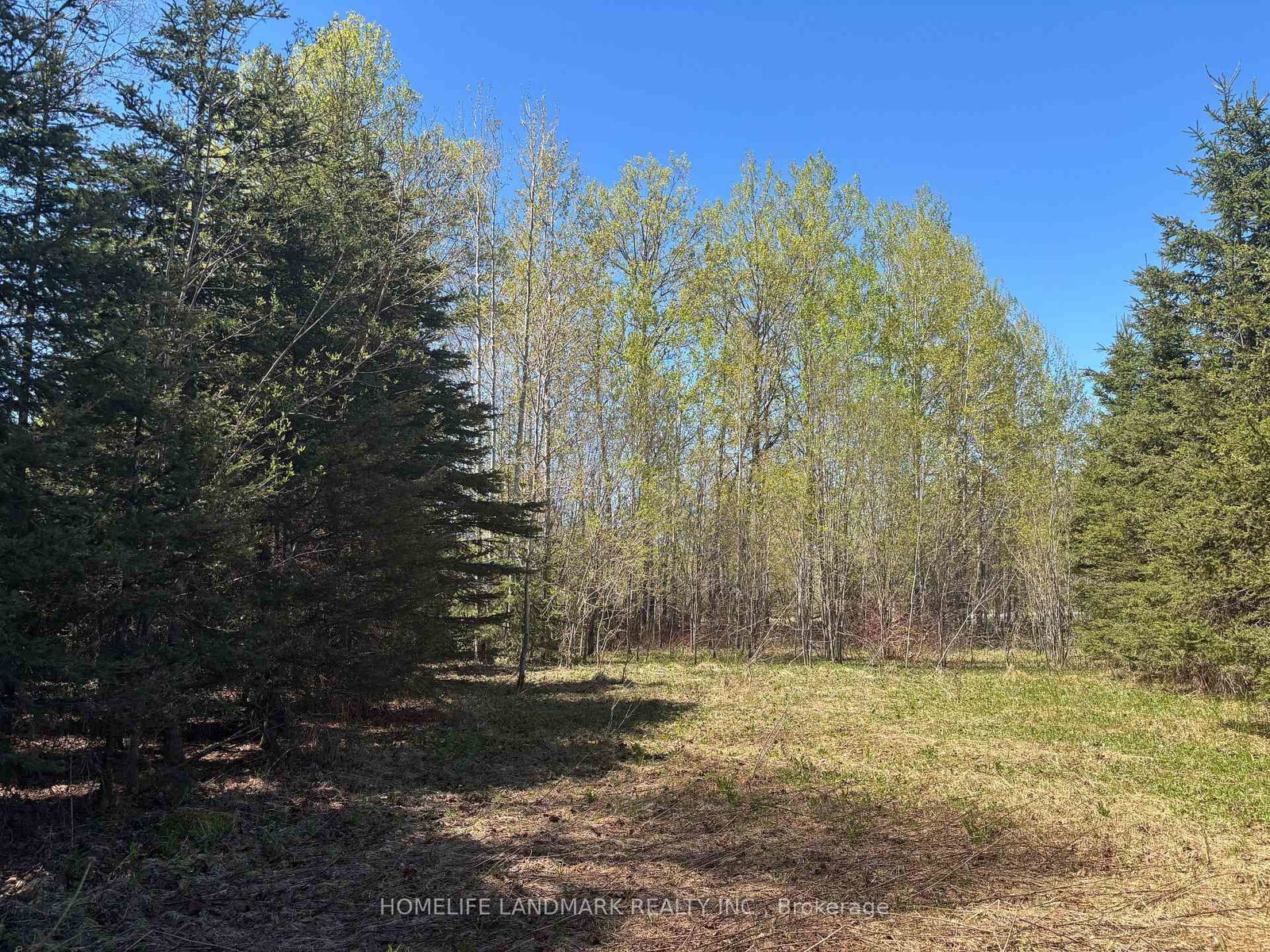 9 Ski Hill Road • Kapuskasing, ON photo 15