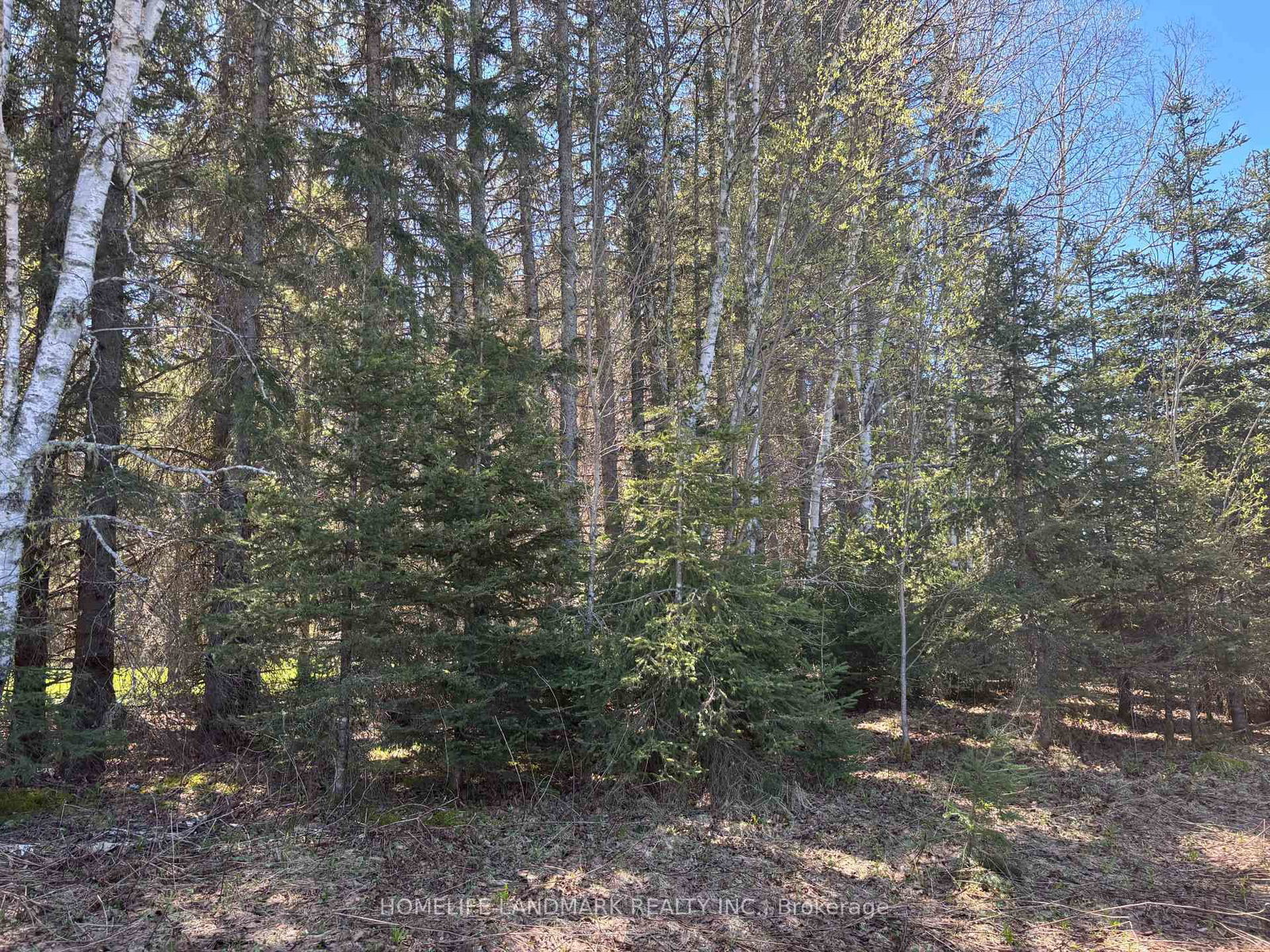 9 Ski Hill Road • Kapuskasing, ON photo 17
