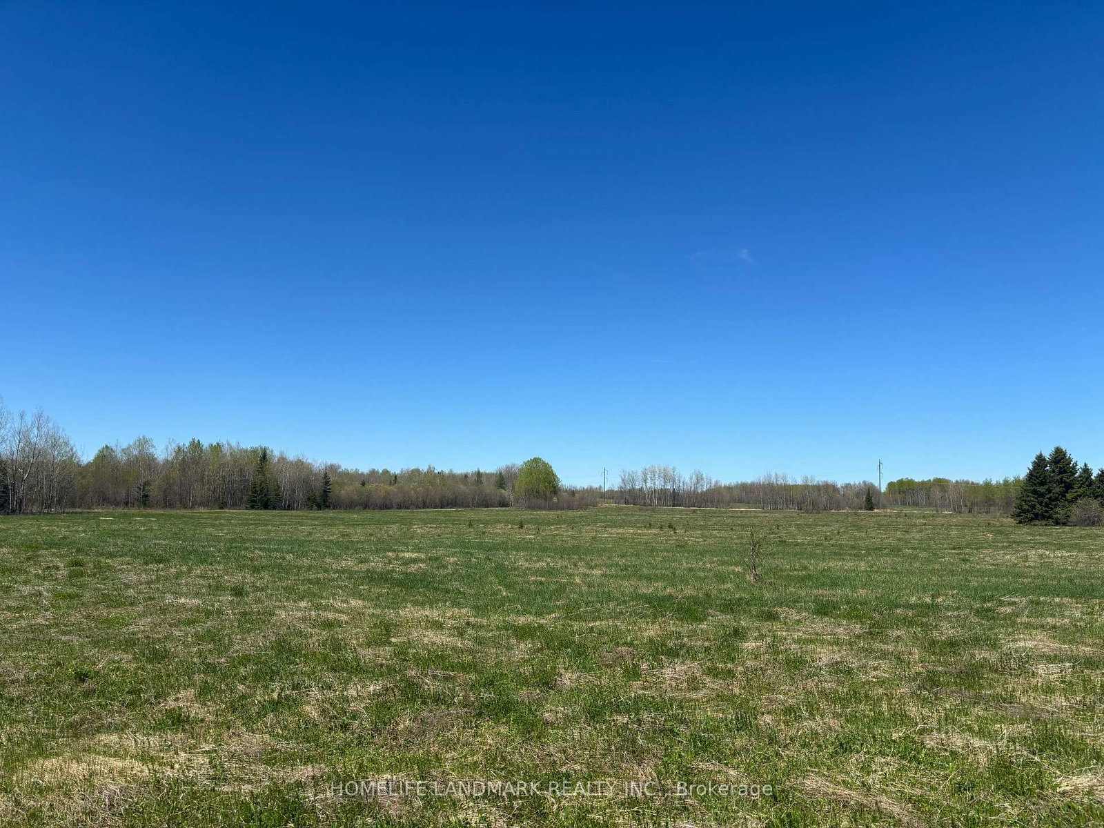 9 Ski Hill Road • Kapuskasing, ON photo 5