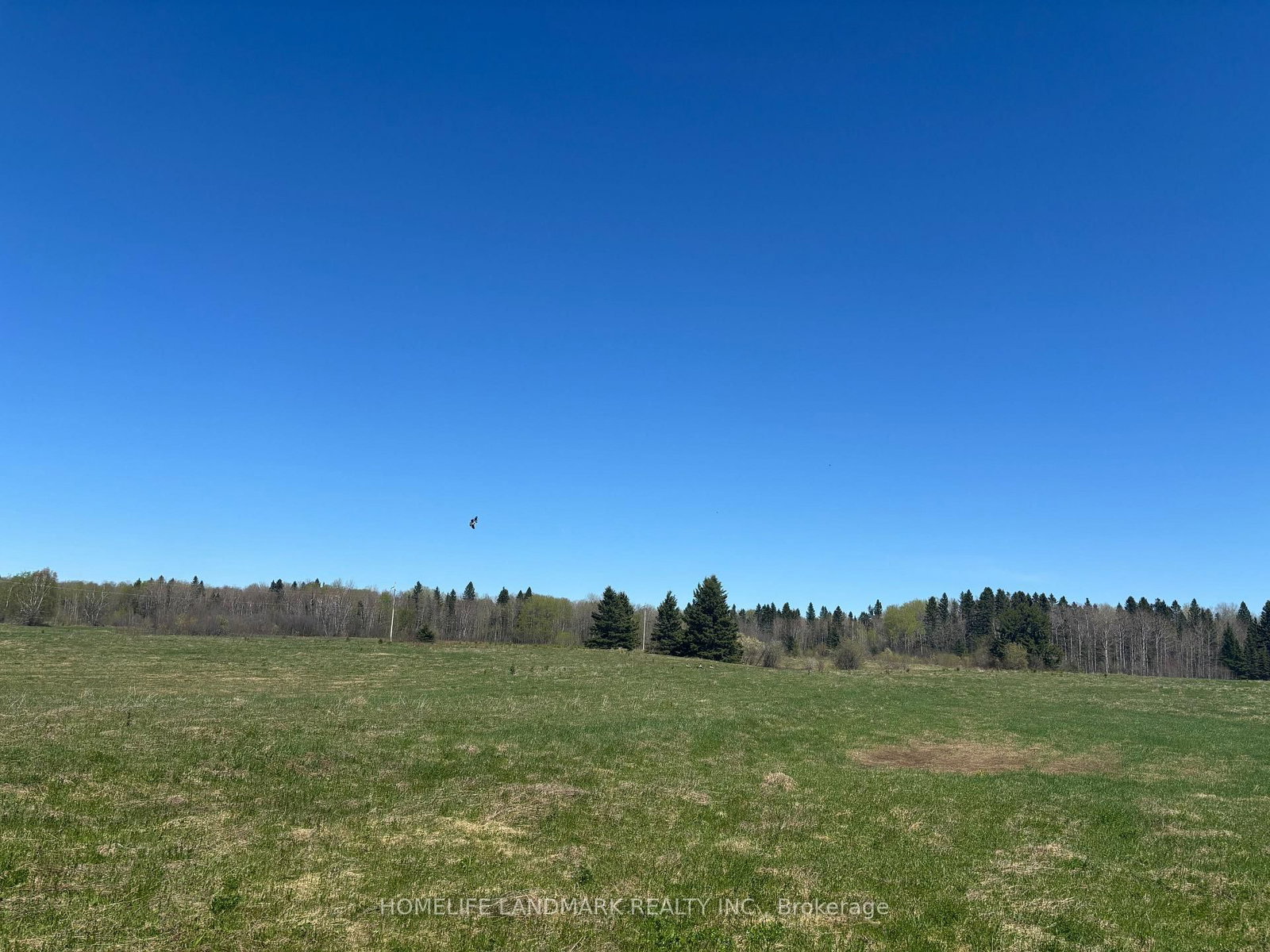 9 Ski Hill Road • Kapuskasing, ON photo 8