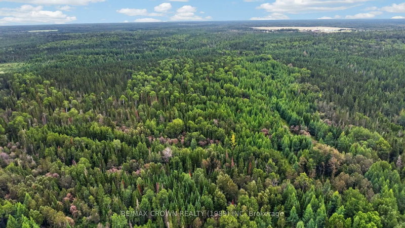Lot 1 Conc 10 Concession photo 5