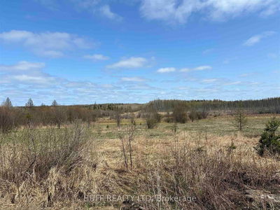 L4 Concession 2 Rd, Cochrane Remote Area -  image-0-2