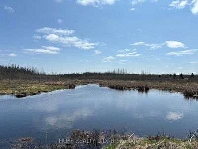 L4 Concession 2 Rd, Cochrane Remote Area -  image-0-4