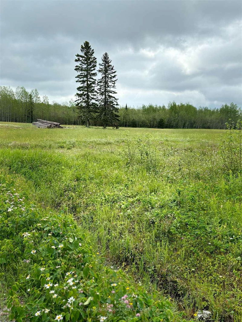 Lot 23 Con 10 Clute, Cochrane Remote Area -  image-0-0