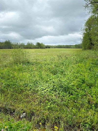 Lot 23 Con 10 Clute, Cochrane Remote Area -  image-0-1