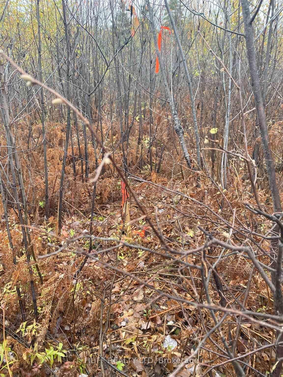 Building at L1 Concession 1, Catharine Road, Timiskaming Remote Area