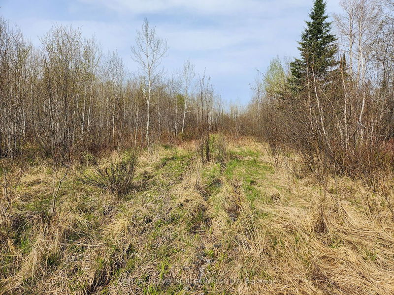 N1/2 LT 9 Con 1, Timiskaming Remote Area -  image-0-0