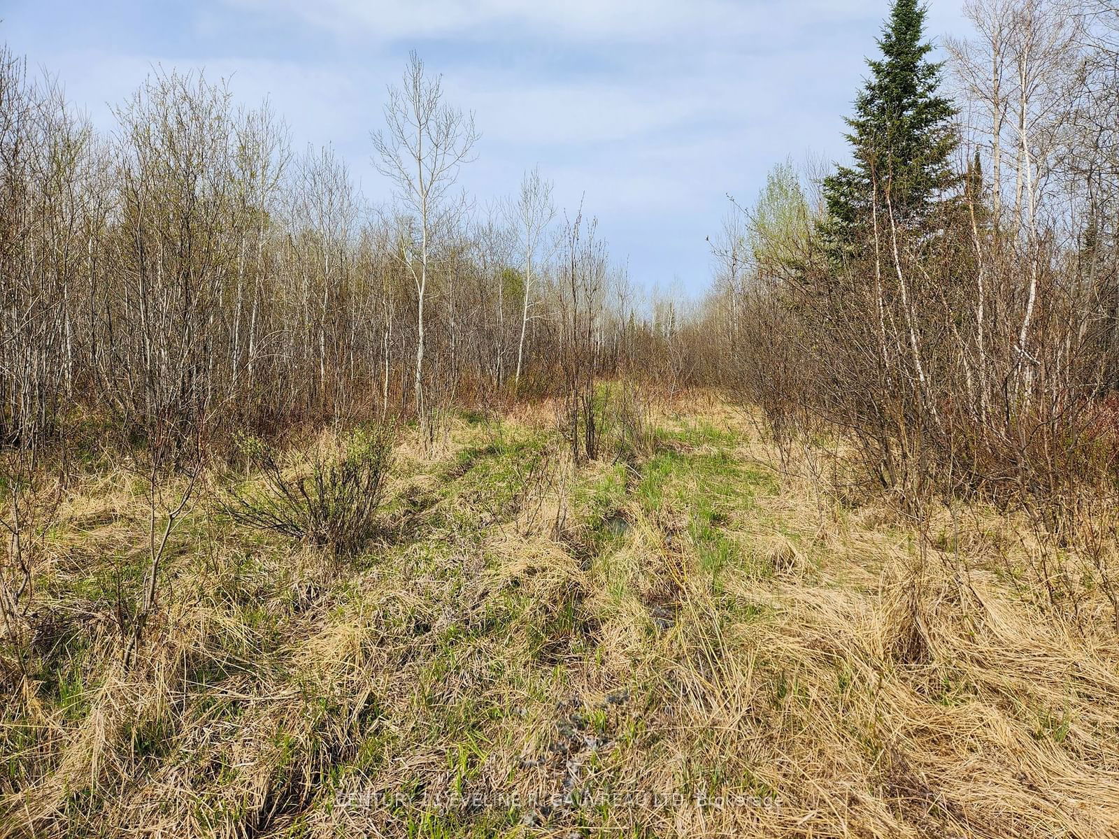 Building at N1/2 LT 9 Con 1, Timiskaming Remote Area