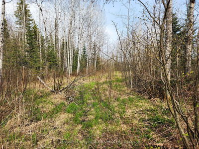 N1/2 LT 9 Con 1, Timiskaming Remote Area -  image-0-1