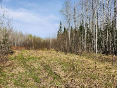 N1/2 LT 9 Con 1, Timiskaming Remote Area -  image-0-3