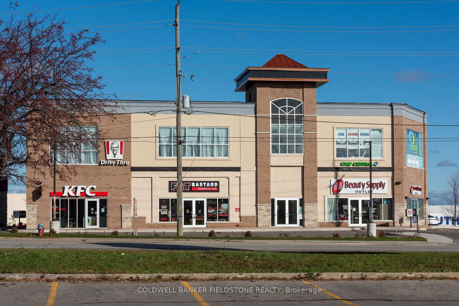 Building in 251 Guelph Street