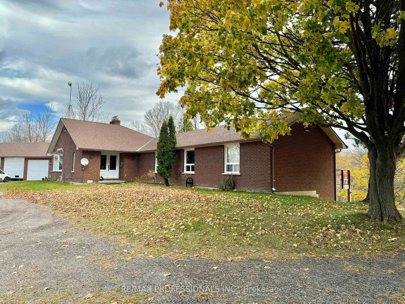 home for lease on Bsmt-15296 Bramalea Road