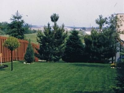 51 Manor Cres, Orangeville, L9W3P2 | Image 3