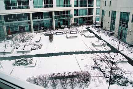 303 - 5 Marine Parade Dr, Toronto, M8V4B4 | Image 3