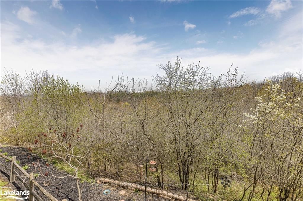 108 ROLLING HILLS Lane - Photo 46