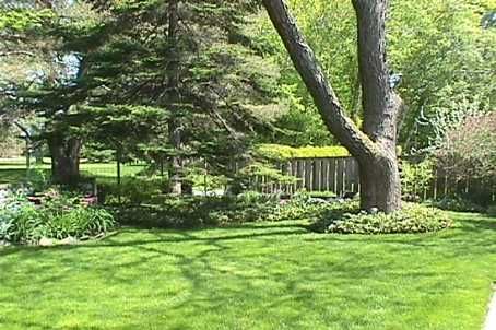 1439 Larchview Tr, Mississauga, L5E3C2 | Image 2