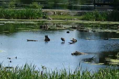 13569 Dublin Line, Halton Hills, L7J2L7 | Image 2
