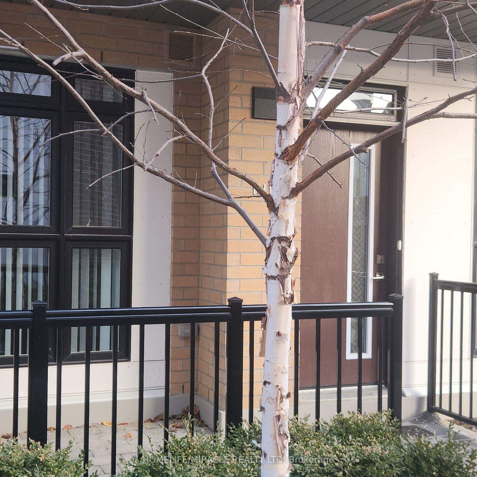 Townhouse for lease at TH111-90 Canon Jackson Drive, Toronto, Beechborough-Greenbrook, M6M 0C1 - MLS: W11909772