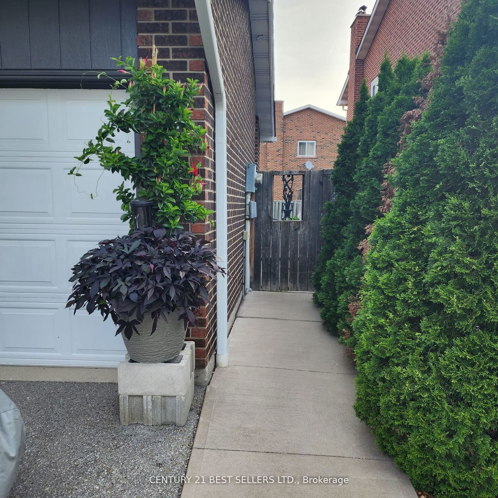 Detached House leased at 49 Lady Stewart Boulevard, Brampton, Westgate, L6S 3Y2 - MLS: W11918926