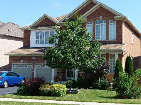 Detached House for lease at (Bsmt)-45 Stoneylake Avenue, Brampton, Madoc, L6V 4R1 - MLS: W11951581