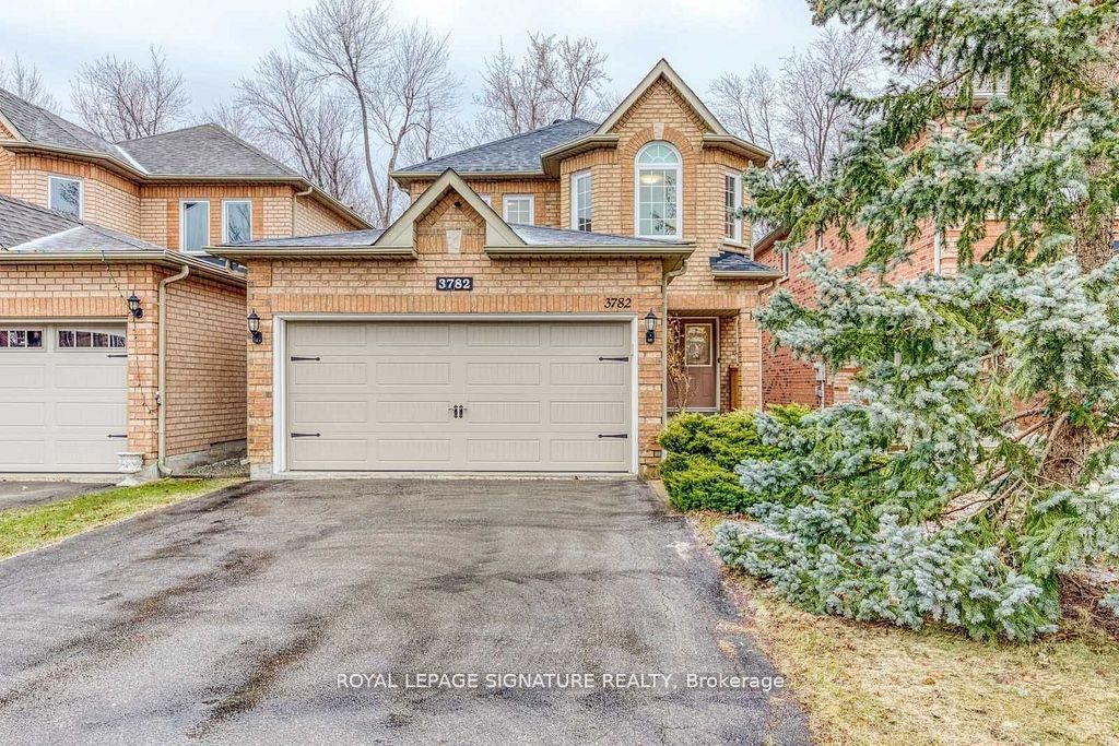 Detached House for lease at Lower-3782 Forest Bluff Crescent, Mississauga, Lisgar, L5N 7T8 - MLS: W11952945