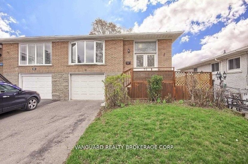 Semi-Detached House for lease at Basement-55 Fallingdale Crescent, Toronto, York University Heights, M3J 1C4 - MLS: W11958054