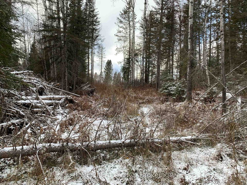 PCL8547 HWY 101 Highway W, Timmins, P4N 7K2 | Image 2