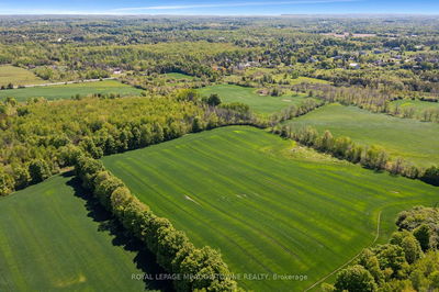 11080 First Nassagaweya Line, Milton - Moffat image-0-4