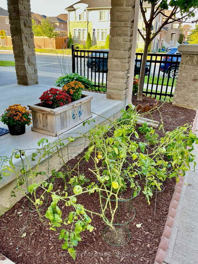 2564 Grand Oak Tr, Oakville - WT West Oak Trails image-0-2