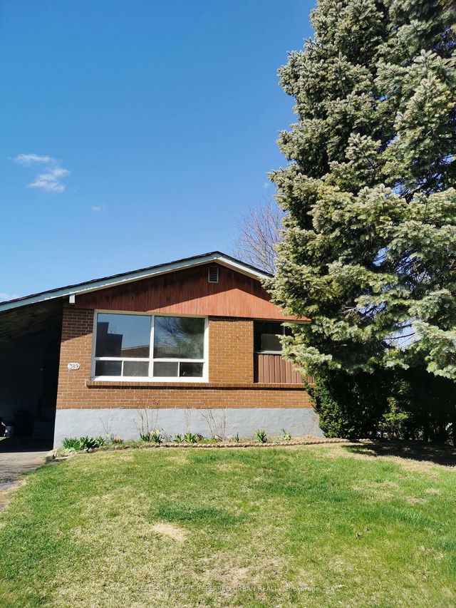 389 Williams Avenue
