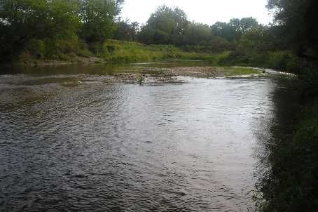 174 Victoria St, Brampton, Xxxxxx | Image 2