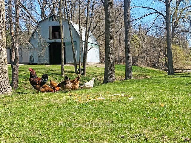 Detached House for sale at 7454 Old Church Road, Caledon, Rural Caledon, L7C 0H5 - MLS: W12115407