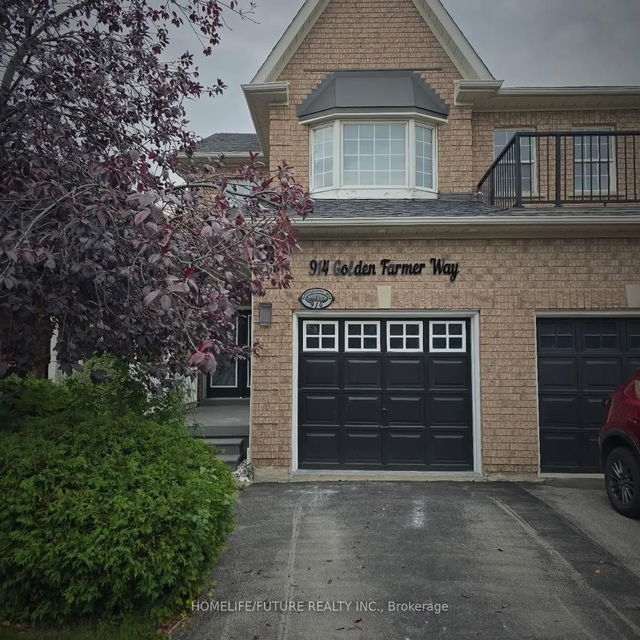 Bsmt - 914 Golden Farmer Way