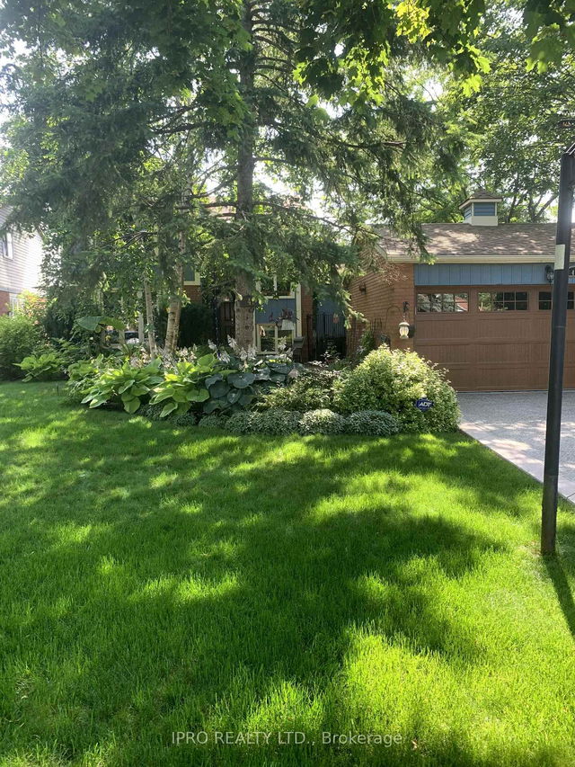 41 Marchmount Crescent